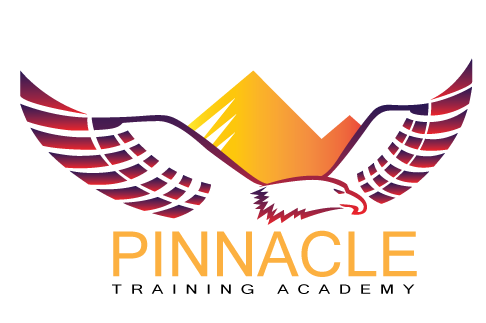 The Pinnacle Training Academy